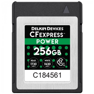Карта памяти CFexpress Power Type B Delkin Devices 256GB [DCFX1-256]
