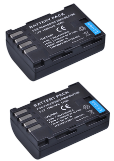 Набор 2 аккумулятора DMW-BLF19 + ЗУ (50979-DC2662)